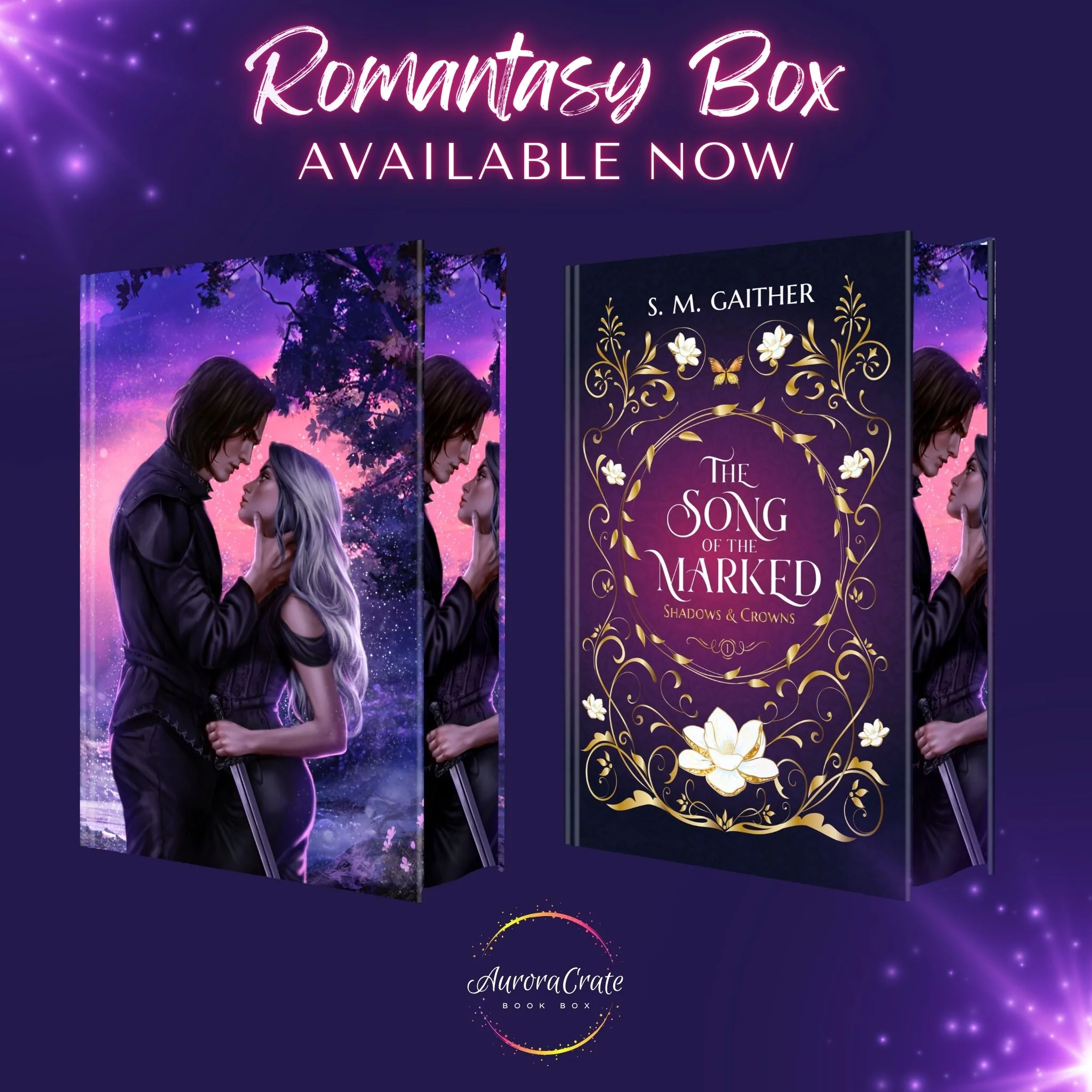 Song of the Marked Book Box - Image 3